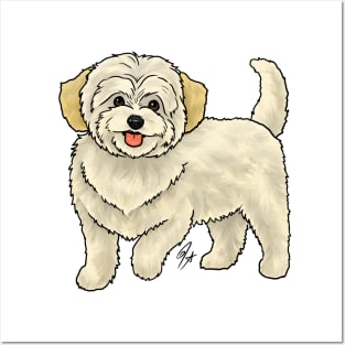 Dog - Maltipoo - Cream Posters and Art